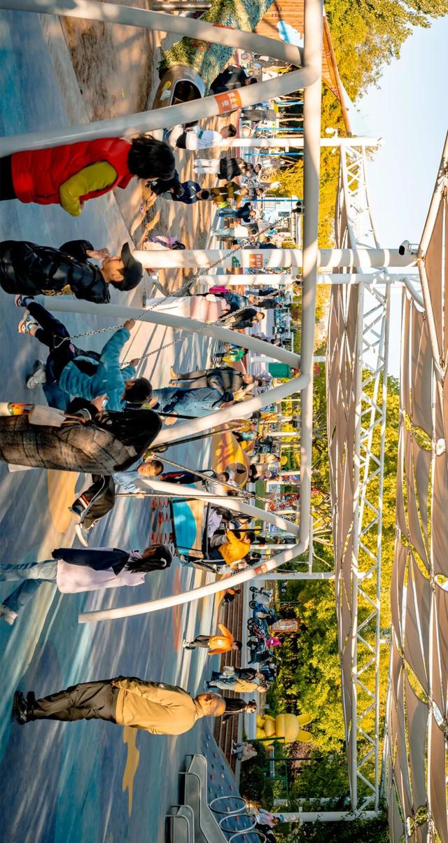 生态城的秋天，已经美得不像样了