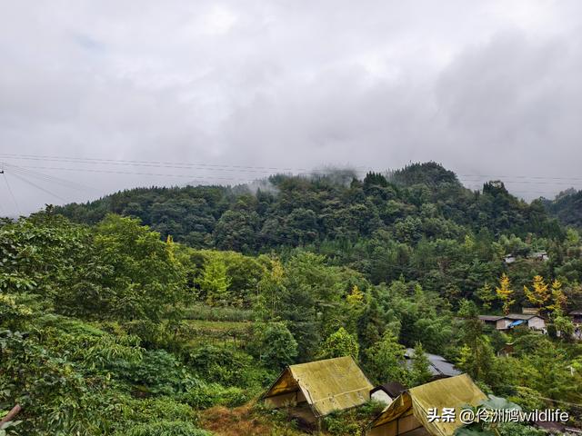 四川行(73)什邡红枫岭徒步到钟鼎寺