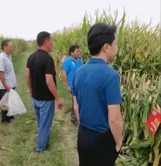 央视怒批,国务院点名封杀!这几位坑骗老百姓的大网红,彻底凉凉