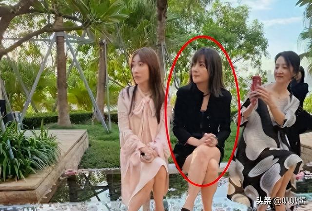 拔出萝卜带出泥！49岁赵薇近况被曝	，原来圈内封杀只是冰山一角