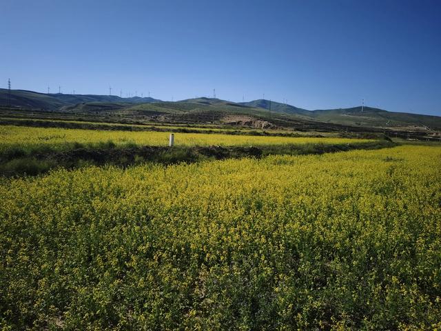 撞见北武当,到不了的小黄湾古村落,干脆去武威找战友聊天