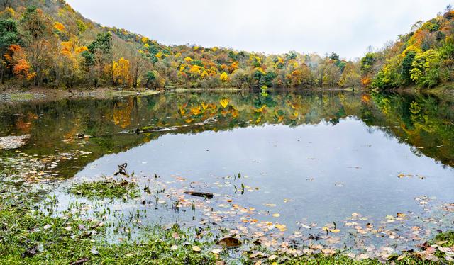 四川石棉县拖乌山：初冬时节的多彩绝唱