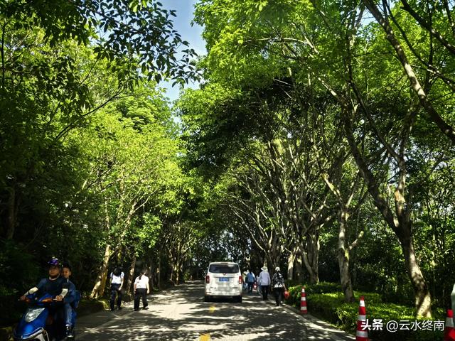 三峡边这样小城，爱了爱了：有独特美食烟火气，有万里长江第一梯
