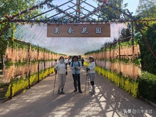 无为在歧路，武安涉县平顺临清（2）