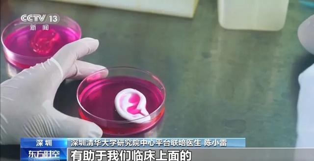 耳朵、骨骼、心脏、喉管……这些类器官能3D打印了！
