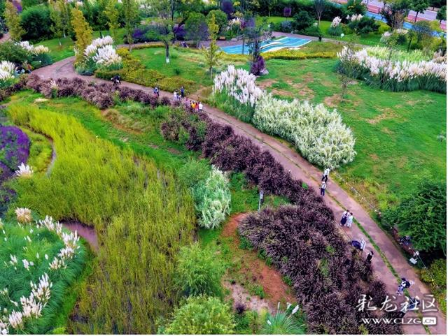 草海隧道湿地公园
