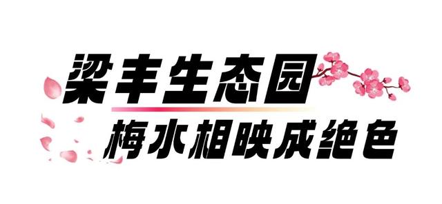 真香！张家港“梅”好将至