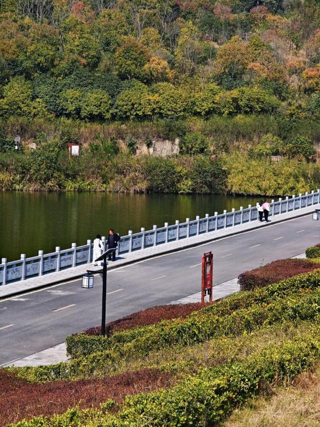 悦·遵义 | 美到犯规！播州这里藏着一个“油画世界”，随手一拍就是大片！