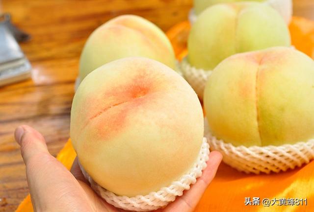认识大美河南的每个县——第14波：叶县