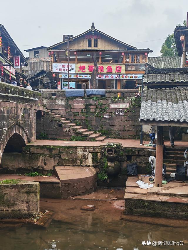 四川雅安雨城区：历史文化名镇上里，大熊猫基地碧峰峡