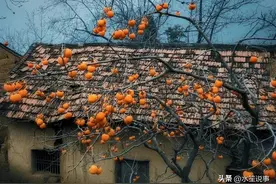 奶奶六十寿辰那天，大妈对姑姑又打又骂，二十五年后表弟来感谢她图片