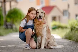 我和狗狗在家中的十大趣事图片