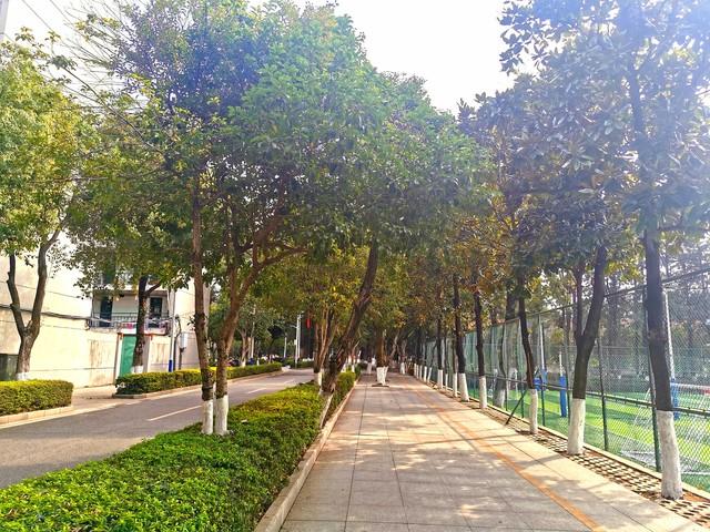江西理工大学