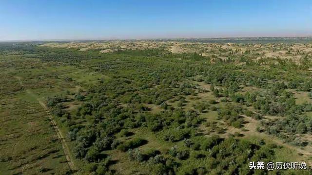 西方专家：中国往沙漠里放了10万头黑猪，竟把2万亩沙地变成绿洲