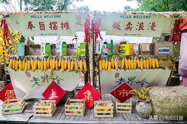 西峡老界岭:假期四大主题活动重磅来袭!
