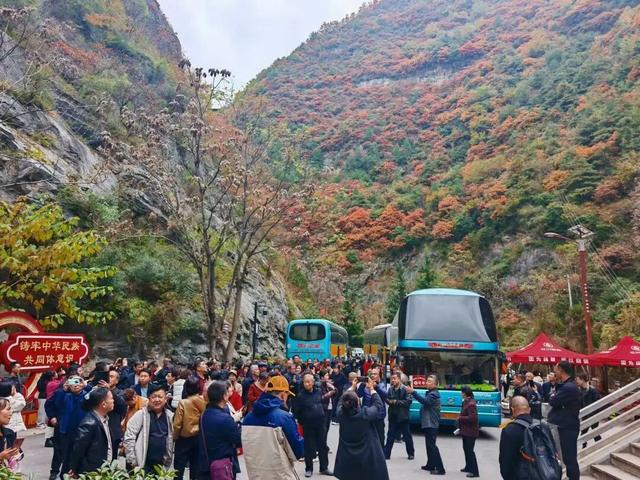 层林尽染引客来！成县西狭颂景区秋叶观赏季人气持续攀升