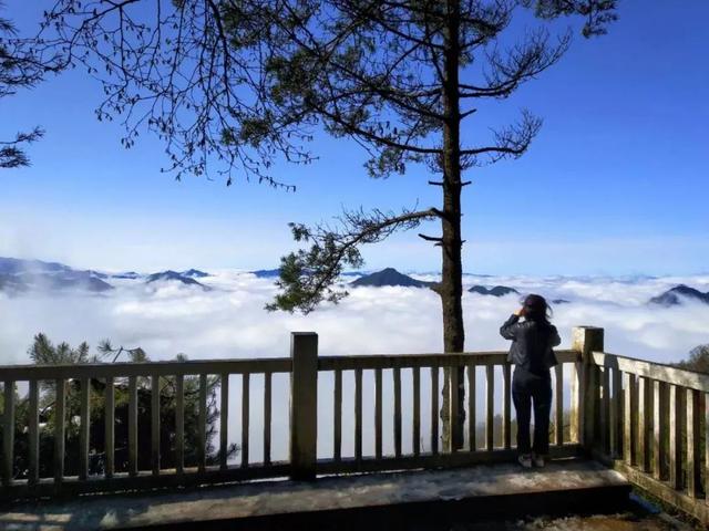 入伏了！黄柏塬带你走进19℃的夏天，云雾缭绕的山野避暑秘境