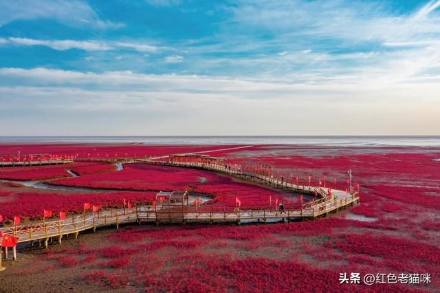 国道331东北段免费露营地推荐