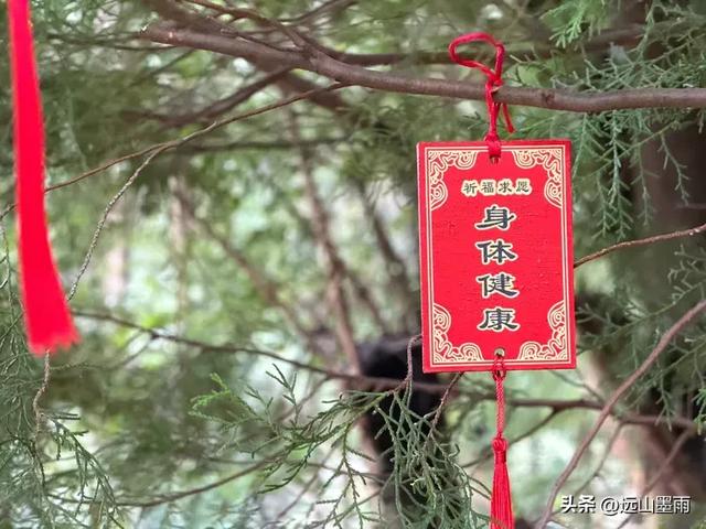 周末徒步,走昆明嵩明的灵云山,游法界寺、走森林步道,休闲惬意