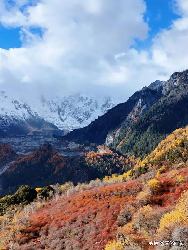 西藏赏秋，这个地方不得不服！彩林冰川惊艳双眼！