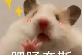 准本科生必看！地矿高校报考指南来了！图片