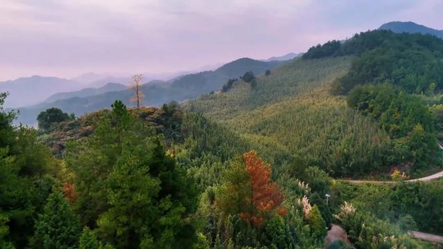 重访开州岳溪善字山:与一座山村的秋日对话,追寻记忆中的乡恋