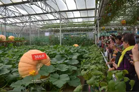 山东省最好的10所民办本科图片