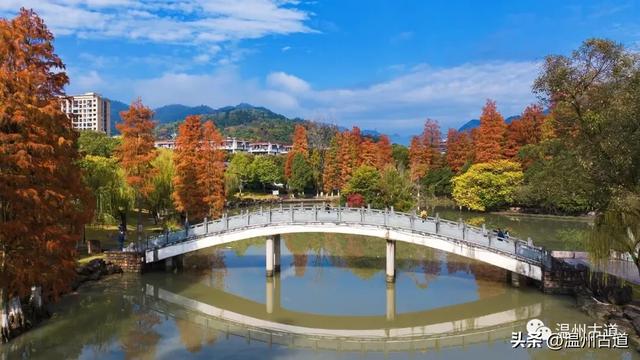 温州这处城区公园红杉如画，错过待来年！