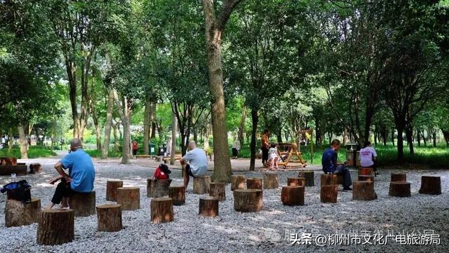 别等空调房！雀儿山公园已备好天然“冷气”~