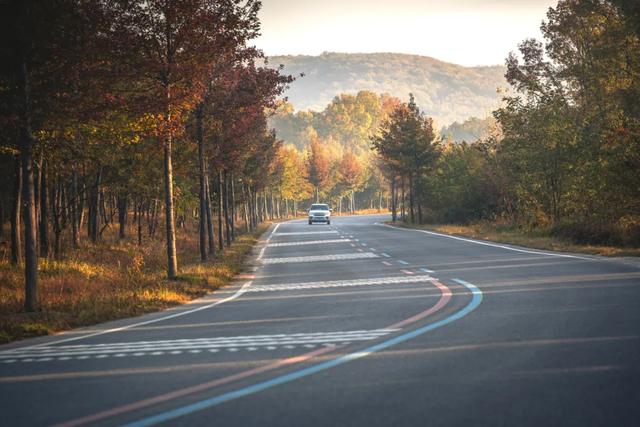 一键收藏！明光南部2025年秋景大赏