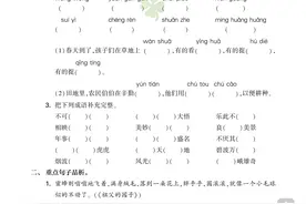 五年级下册语文，1-8单元考点梳理专项练习及参考答案~图片