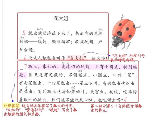 人教版,三年级语文下册第四课《昆虫备忘录》预习