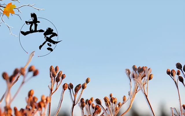 后天立冬！“上午立冬十栏九空，下午立冬单衣过冬”，今冬冷吗？