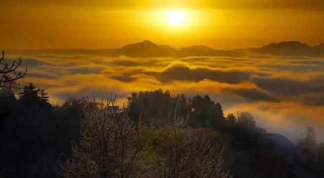 入伏了！黄柏塬带你走进19℃的夏天，云雾缭绕的山野避暑秘境