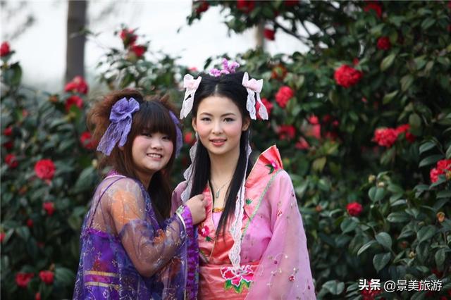 佛山这个花园国庆假期正式开放，藏在深闺的200多亩茶花出门迎客