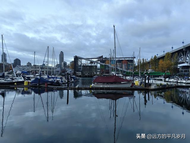 温哥华游记（六）