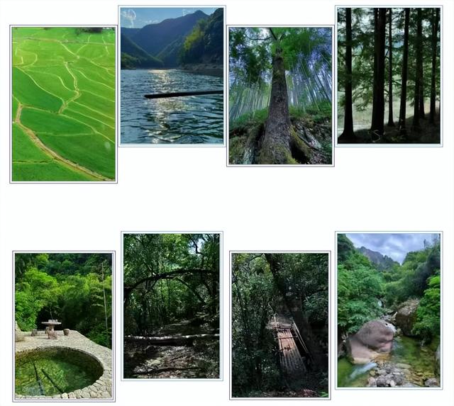 杭黄联动秋趣浓！黄山区徽黄之路户外助力黄山古道徒步推介，解锁秋日徒步新体验