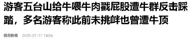 五台山一游客被牛群撞倒围攻，景区回应