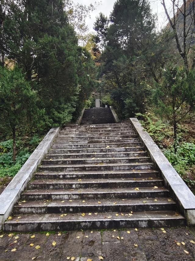 南行漫记：汉中南郑区到巴中恩阳区，9小时233公里的行走路书