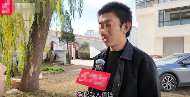 山西狗咬人血案再曝细节：剔骨刀上无死者DNA，真相更扑朔迷离