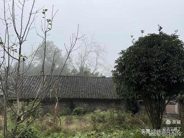 龚清||一缕云雾系乡愁