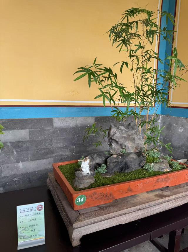 “盆”然心动了！景山公园消夏全攻略→