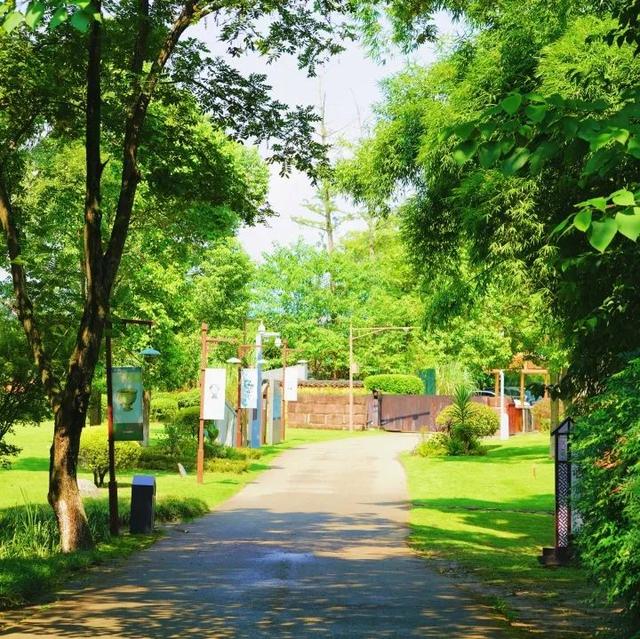 城市美学秘境｜邂逅邛窑国家考古遗址公园的初秋意韵