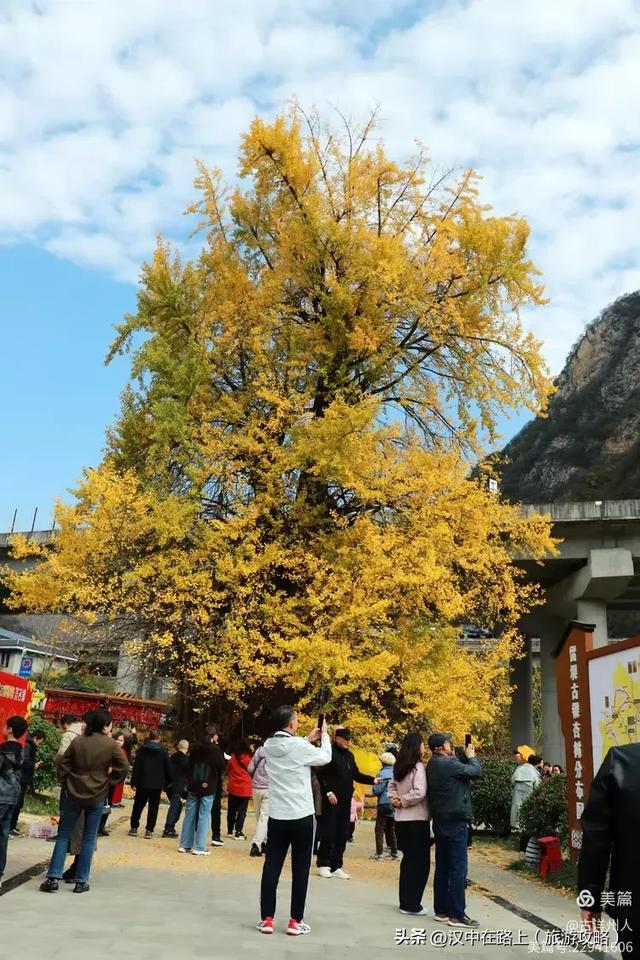 超出片!快来这里捕捉汉中秋色!