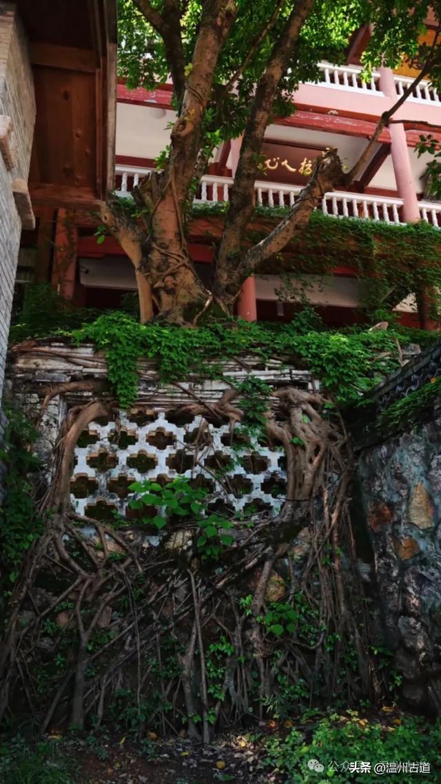 这个被誉为“温州最美寺院”的静心圣地你可去过？