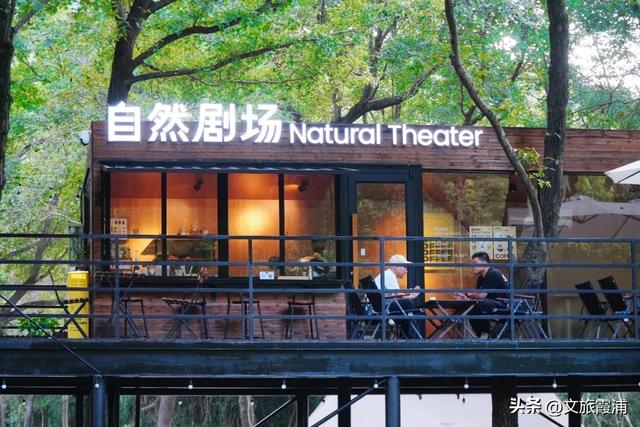 当北纬27°的风穿过枫林,我在渡头村撞见了一场自然的浪漫剧场