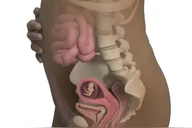 怀孕几个月开始显怀，你知道吗？图片