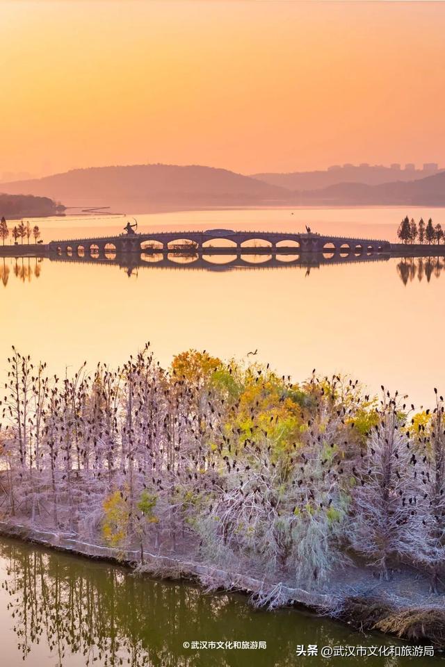沙漠踏雪，只在武汉，最佳观赏期到了！