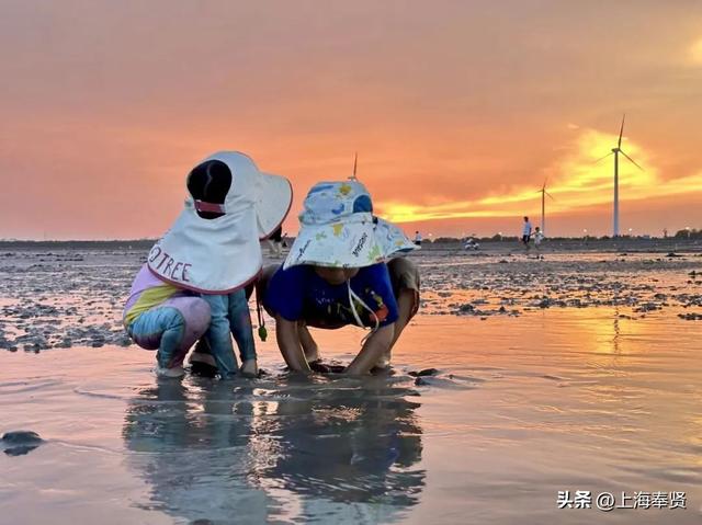 看海！挖宝！狂炫海鲜！这里的独家快乐太上头～