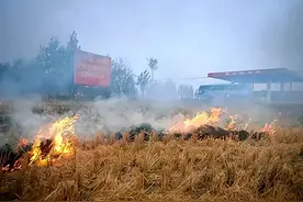 领先世界！我国已建成秸秆变油百吨产线，今年将建成万吨产线图片